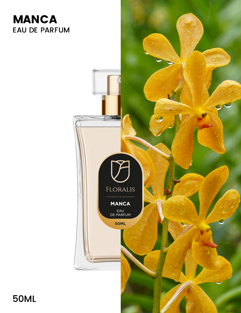 Suggest Product Thumbnail